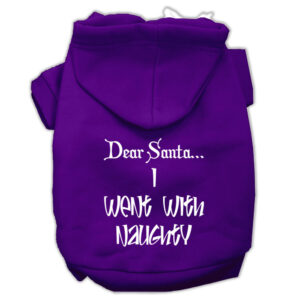 Dear Santa I Went with Naughty Screen Print Pet Hoodies Purple Size XXXL