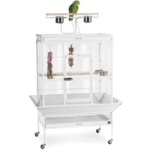 Prevue Pet Playtop Bird Home Chalk White 3154C